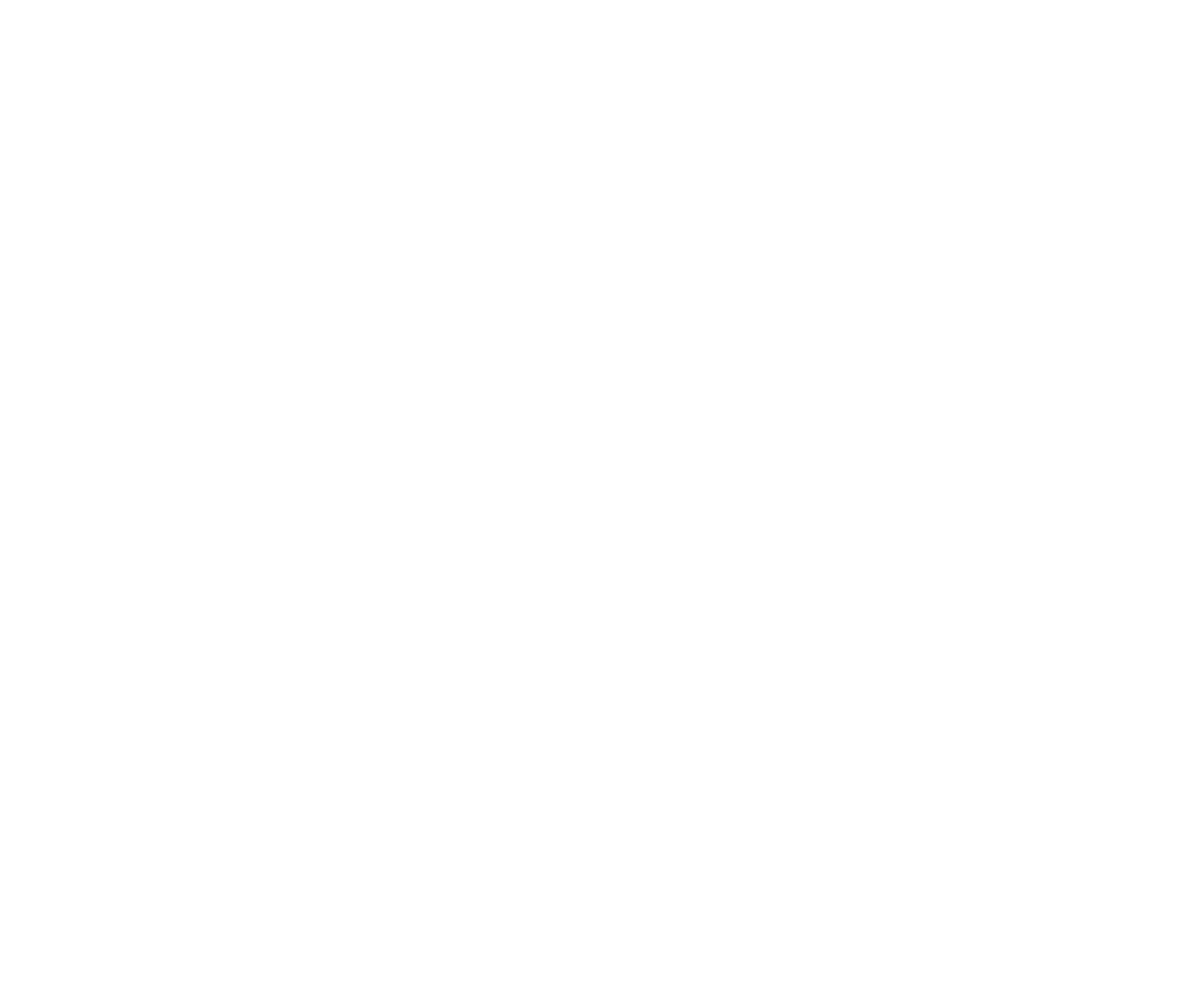 New York State Outline